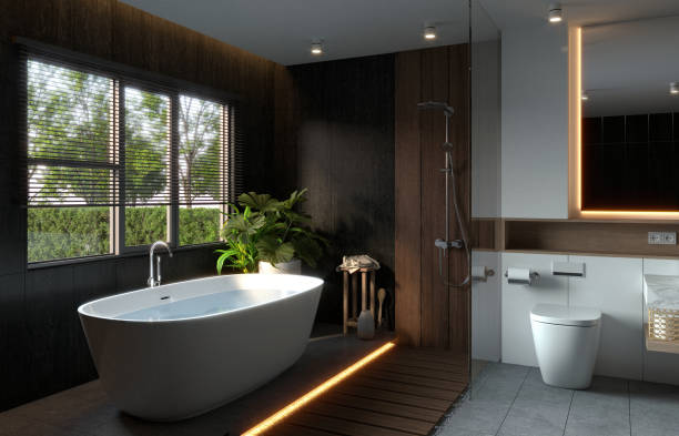 Bathroom remodeling in Richmond